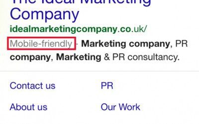 Could your website be in trouble when Google updates its search algorithm?