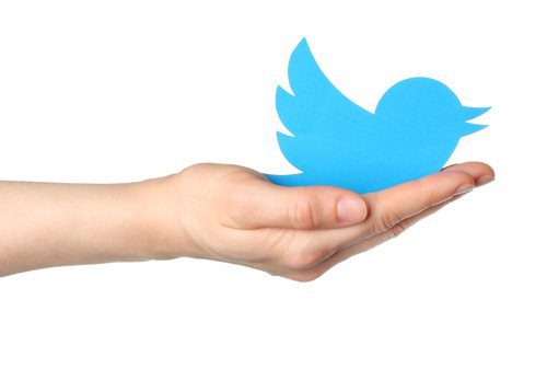 Twitter profile logo